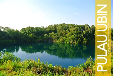 Pulau Ubin: Biking in Singapore's Secret Corner | Lakwatsero