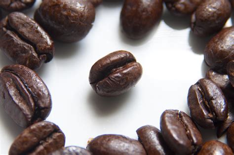 File:Coffee Beans Photographed in Macro.jpg - Wikimedia Commons