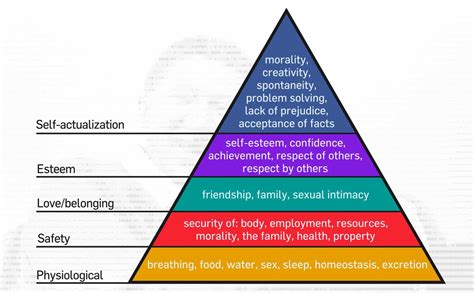 Examples Maslow's Hierarchy Of Needs