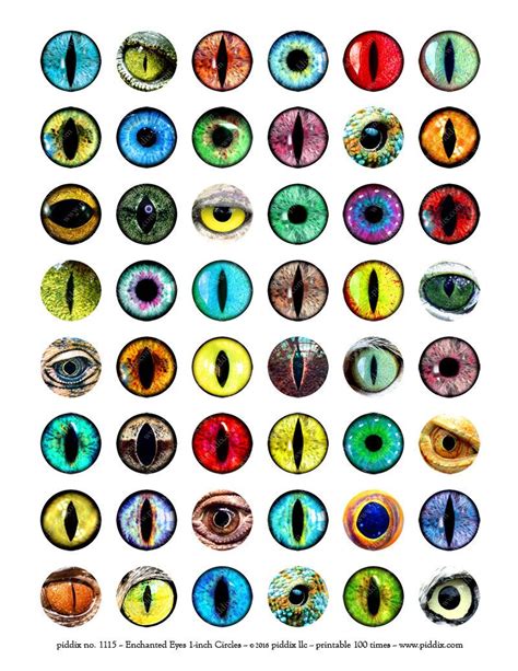 Printable Instant Download Dragons Fairies Enchanted Creature | Eye drawing, Realistic eye ...