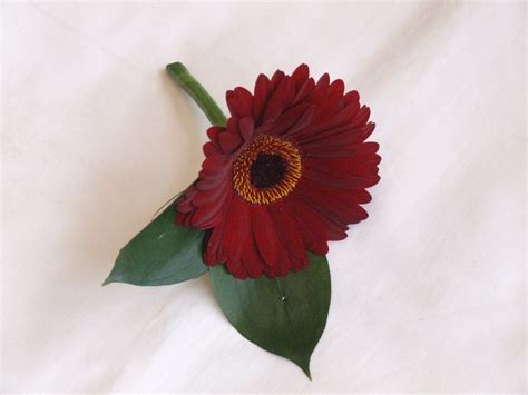 Evi's blog: Gerbera Wedding Flowers