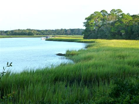 jeneen h. nance art: Kiawah Island, SC