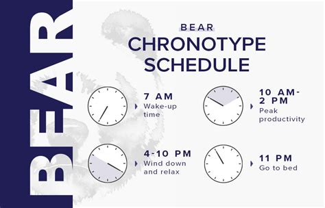 How to Find Your Chronotype – Gravity Blankets