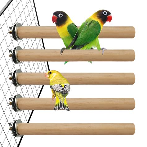 10 Best Canary Bird Perches for Optimal Comfort and Health ...