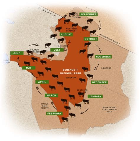 The Great Migration Africa Map - Almeta Mallissa