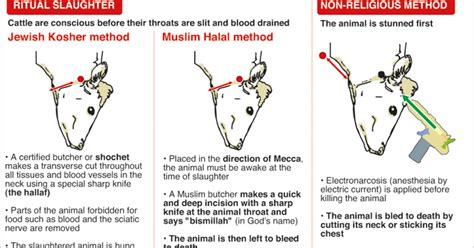 ΗΡΑΚΛΕΙΟ - IRAKLIO: Slaughter methods. Why should religion get into ...