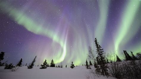 Green aurora borealis, aurorae, forest, landscape, nature HD wallpaper ...