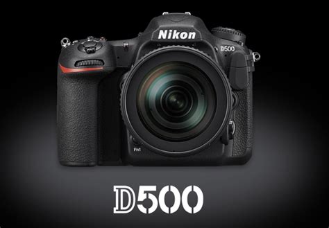 Nikon D500 vs D610 vs D750 vs Canon 5D Mark III Comparison - GearOpen.com