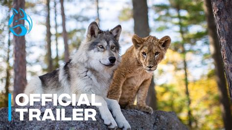 The Wolf and the Lion | Official U.S. Trailer | Blue Fox Entertainment ...