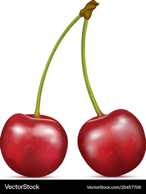 Cherry : Cherries Arthritis And Gout Relief Shoreline Fruit - Wild ...