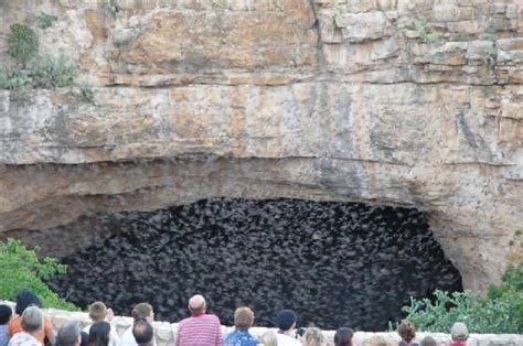 Carlsbad Cavern NM, That is bats leaving the cave,was there in the 70's,very cool t… | Carlsbad ...