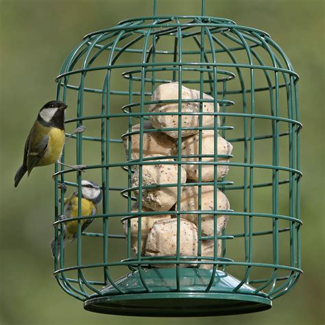 Bird Feeders for Small Birds | Small Bird Feeders - RSPB Shop