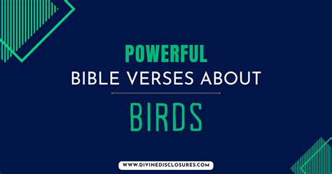 67+ Powerful Bible Verses About Birds In The Bible