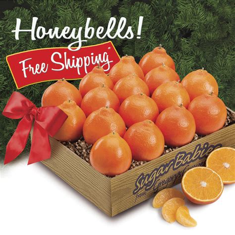 Sugar Baby Honeybells 16-Piece Gift Box, Free Shipping Sitewide ...