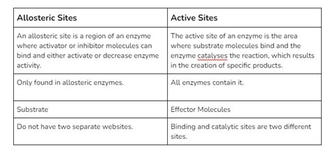 Enzyme Active Site Allosteric Site