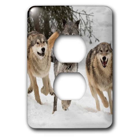 3dRose Gray Wolf pack behavior in winter, Montana - 2 Plug Outlet Cover (lsp_279208_6) - Walmart ...