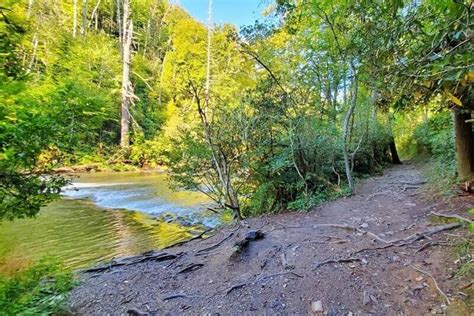 THE Cades Cove waterfalls hike is Abrams Falls Trail! ⛰🐻 Smoky ...