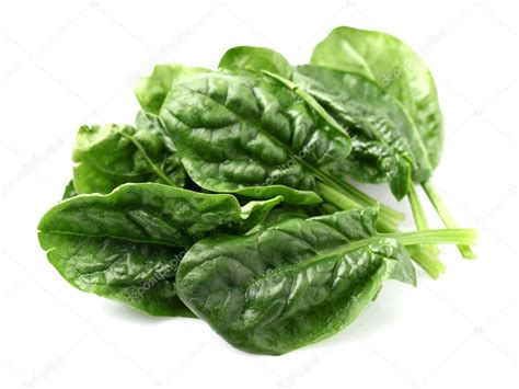 Spinach leaves — Stock Photo © Dionisvera #22830660