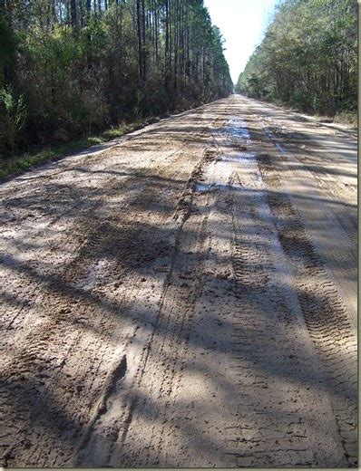 Our Nature: Old Plank Road History