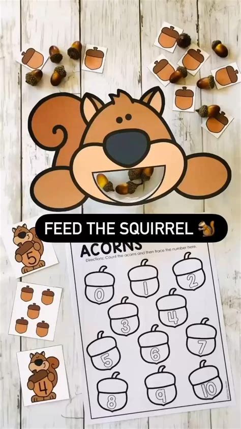 Feed the squirrel hands on counting practice for 0 10 counting acorns – Artofit