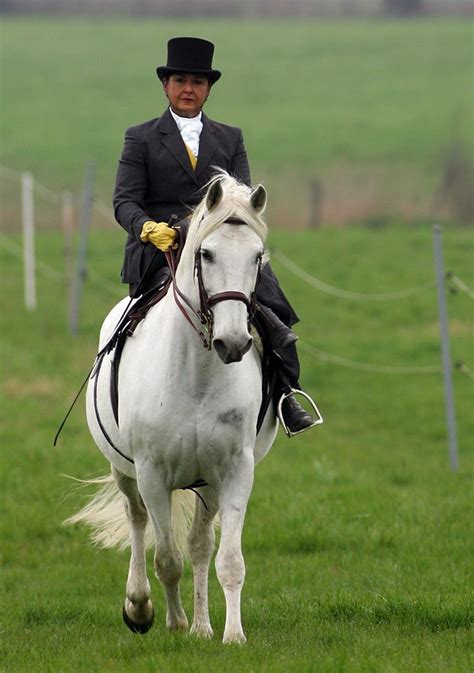 Everyday Elegance Side Saddle Habit - Side Saddle Habits - Alexander James - English Country ...