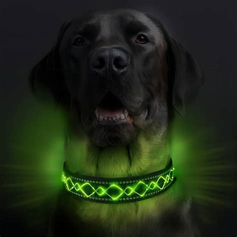 Stylish Durable Spiked Dog Collar Matching Leash Perfect - Temu