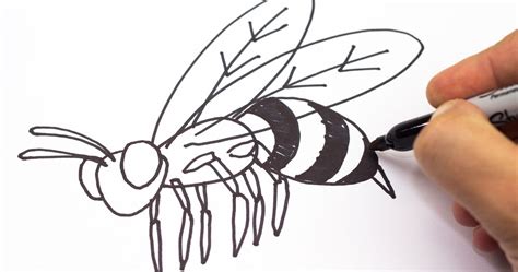 draw a cool bee - Clip Art Library