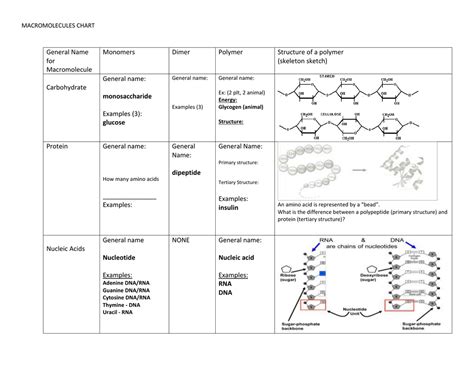 MACROMOLECULES CHART General Name for Macromolecule