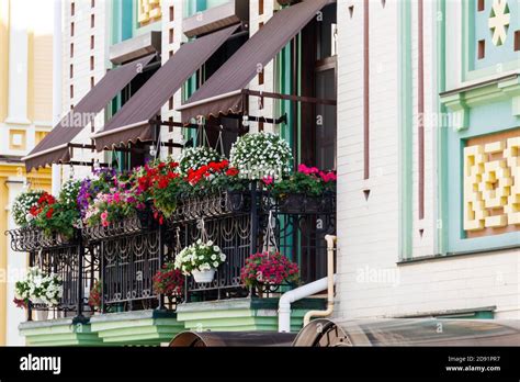 Flower pots with beautiful flowers on a balcony Stock Photo - Alamy