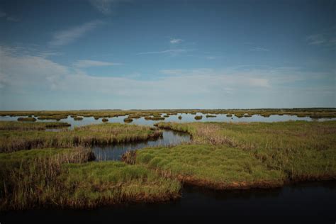 Deal Island Md - John Englander - Sea Level Rise Expert