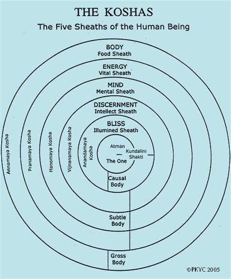 Stages of Human Consciousness – “आत्म कोश” – Lonely Philosopher