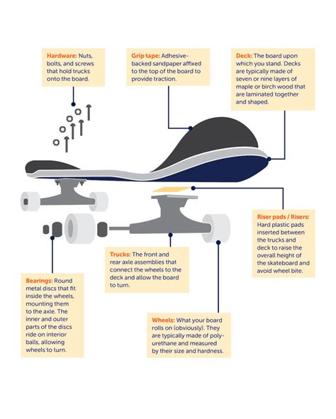 Skateboard Anatomy: A Guide to Skateboard Parts - 2021 - MasterClass