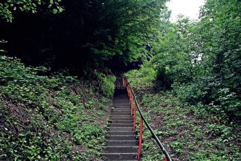 Stairs To Poenari Castle, Romania Stock Photo - Image of mountains ...