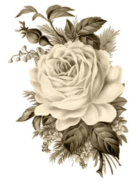 Clip Art: Royalty Free Gorgeous Vintage Rose Image | Vintage roses ...