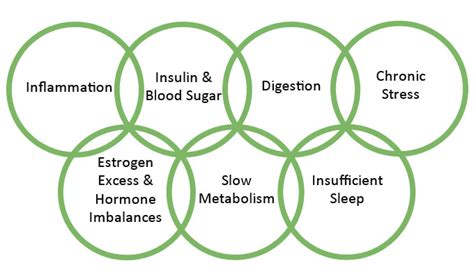 7 Root Causes of Weight Gain and Chronic Health Concerns - Marsha ...