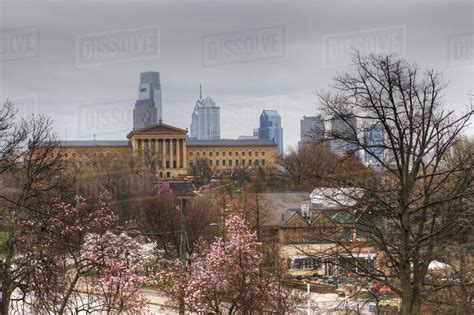 A view of Philadelphia City center,blossoms in foreground - Stock Photo ...