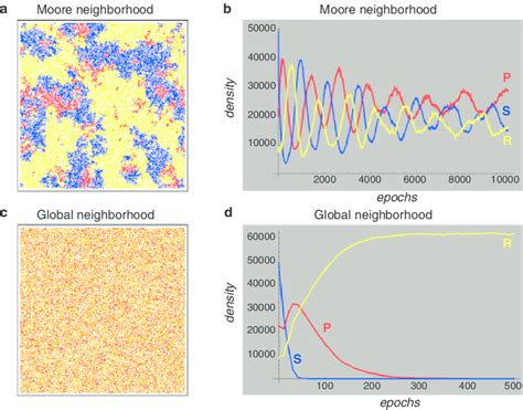 B2 Lattice-based simulations. a A snapshot of a 300 × 300 structured... | Download Scientific ...