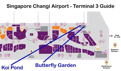 Changi Airport Terminal 3 Map - Devan Fenelia