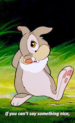 Thumper The Rabbit Quotes. QuotesGram