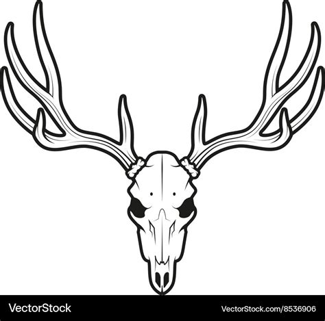 Whitetail Deer Skull Outline