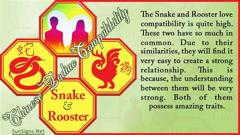 Snake Rooster Compatibility: Complementary and Different - Zodiac Signs 101