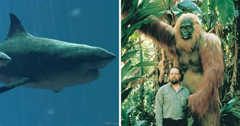 8 Incredible Photos of the World's Largest Animals