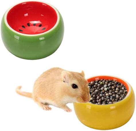 ZECATL 2 Pcs Hamster Food Bowl, Small Animals Ceramic Feeding Water Dish for Guinea Pig Rat ...