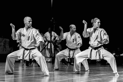 karate kata kata kata Kyokushin kata karate martial arts way ifk kihon list