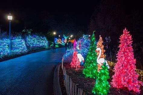 See The Best Christmas Lights In Missouri At The St. Louis Zoo