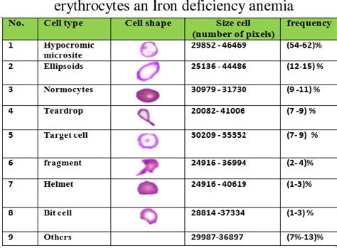 Frequency Rate of Abnormal Morphologic Shapes of the Erythrocytes upon ...