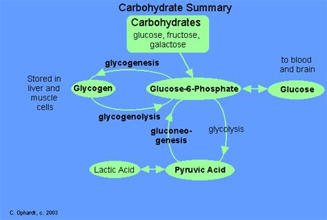 Glycogenesis