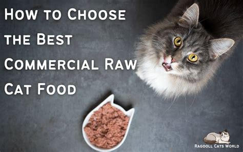 How to Choose the Best Commercial Raw Cat Food (2023)