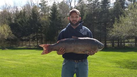 Bowfisher sets Michigan record for bigmouth buffalo