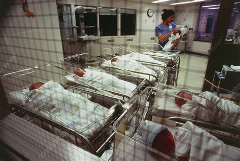 View of hospital maternity unit - Stock Image - M815/0044 - Science Photo Library